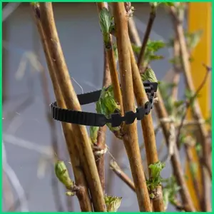 Dây đeo cọc cây chịu lực nặng Cây bụi linh hoạt Dây đai hỗ trợ cây cho Staking ngoài trời trong nhà jiwvn