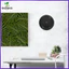 Vinyl Ghi Tường Trang Trí Vinyl Ghi Tường Treo Trang Trí Cho Thanh Tường Nhà zhenghtr