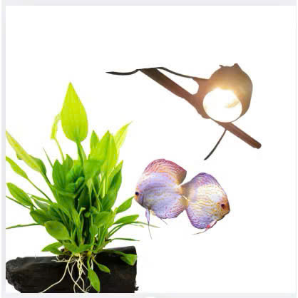 KaoKui KK F09 đèn led rọi bể cá (15w) chỉnh dược tiêu cự, có 3 chế độ màu
