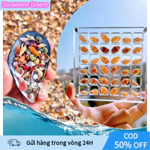 Hộp Đựng Vỏ Sò, Đá Biển Acrylic Trong Suốt Có Nam Châm - Kích Thước 12cm, Tiện Du Lịch