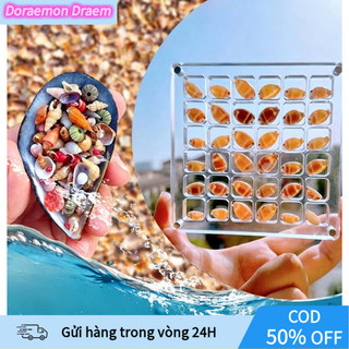 [COD] Hộp Đựng Vỏ Sò, Đá Biển Acrylic Trong Suốt Có Nam Châm - Kích Thước 12cm, Tiện Du Lịch