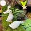 Hodou 3 Chiếc Dễ Thương Trắng Du Thủy Canh Chậu Hoa Sen Nhựa Retro Tượng Điêu Khắc Ngoài Trời Cho Văn Phòng Tại Nhà Bàn Làm Việc Sân Vườn Trang Trí Bàn Làm Việc Trang Trí VN