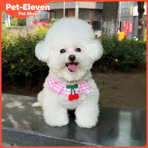 Dây kéo cho chó Dây đeo ngực Tương tự Khăn ren Dây đeo ngực Mèo Vest Phong cách Pomeranian Teddy Bichon Dây đi bộ cho chó nhỏ Dây xích chó cỡ vừa