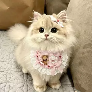 Thú Cưng Mèo Chó Yếm Yếm Dễ Thương Trang Trí Hình Poodle Teddy Chó Nhỏ Có Thể Điều Chỉnh Nước Bọt Khăn