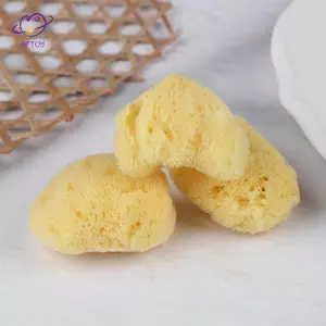 HFTOY Công cụ làm sạch sản xuất kết cấu đặc biệt Bọt biển Hy Lạp tự nhiên Tranh màu nước với bọt biển thấm hút Bút lau ~
