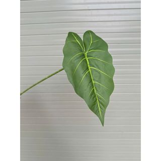 combo 2 Cành lá môn đơn – Thương hiệu Hoa Lan Phúc Thịnh