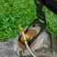 Móc treo Gas di động cắm trại Móc treo sắt đa chức năng Hỗ trợ ổn định để nấu ăn ngoài trời Sử dụng mới