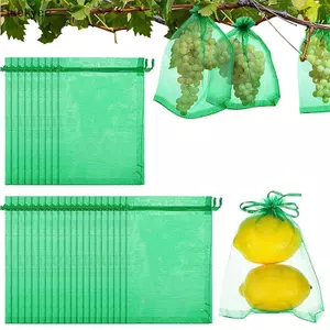 Luckyew 20 Chiếc Lưới Túi Trái Cây Dâu Nho Trái Cây Trồng Túi Lưới Thoáng Khí Rau Túi Bảo Vệ Cho Dụng Cụ Làm Vườn TQ