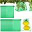 Luckyew 20 Chiếc Lưới Túi Trái Cây Dâu Nho Trái Cây Trồng Túi Lưới Thoáng Khí Rau Túi Bảo Vệ Cho Dụng Cụ Làm Vườn TQ