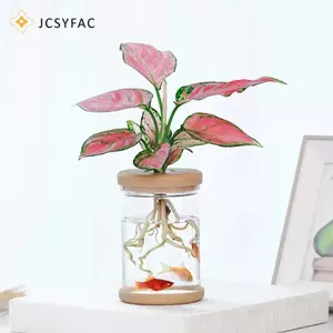 JCSYFAC Chậu hoa trong suốt Thủy canh Tự động hấp thụ nước Chậu hoa nhựa Mới