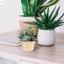 Giỏ đựng đồ dệt bằng tre để trang trí nội thất Cây trái cây Phím máy tính để bàn