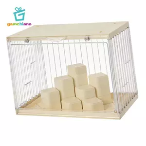 Gamchiano Hộp trưng bày hình trong suốt Hộp sắp xếp chống bụi cho búp bê thu nhỏ và trưng bày các bức tượng nhỏ