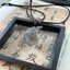 Springevenstar 2 Chiếc Rồng Phượng Ngọc Mặt Dây Chuyền Nelace Luy Trừ Tà Ác Thần An Toàn Tốt Lành Quyến Rũ Nelace Cặp Đôi Quà Tặng Springevenstar