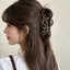1 / 2 Chiếc - Musical Note Tóc Vuốt Kẹp Nữ Mờ Lớn Mobius Hình Vòng Móng Vuốt Tóc Phong Cách Tinh Tế Hàng Ngày Quà Tặng Phụ Kiện Tóc