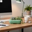 Chậu trồng cây Mini hình chữ nhật bằng gốm màu xanh lá cây để trang trí bàn làm việc văn phòng mọng nước