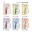 2025 Ice Love Carrot Trẻ Em Son Dưỡng Môi Giấy Hoạt Hình Son Dưỡng Môi Hương Trái Cây Trắng Các Loại FATJ