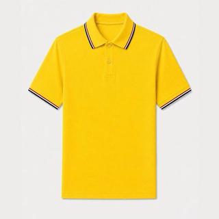 8 MÀU ÁO POLO PHỐI VIỀN VẢI THUN CÁ SẤU POLY