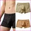 VIC Nam Co Giãn Boxer Ngắn Quần Lót Co Giãn Quần Lót Cotton Thẻ Ít Quần Lót Nam