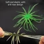 Shas Sea Urchins Mồi để tăng cường thu hút cá trong các điều kiện câu cá khác nhau