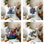 Phim Zootopia 2 Ném Gối, Vỏ Gối Polyester Một Mặt, Máy Có Thể Giặt Được, Thích Hợp Cho Giường Sofa Trang Trí Phòng Khách (Không Bao Gồm lõi)