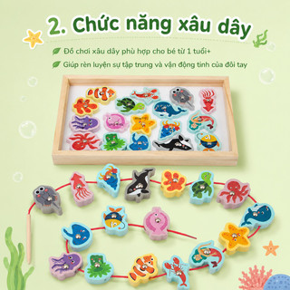 Đồ chơi gỗ câu cá nam châm – Sinh vật biển, ghép hình, xâu dây – Rèn luyện tay mắt, phát triển trí tuệ cho bé