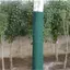 Luckyew Cây Bảo Vệ Quấn Cho Mùa Đông Bảo Vệ Đông Lạnh- Thân Cây Thoáng Khí Bảo Vệ Xa Động Vật Hươu, Cho Cây Bụi Cây Trẻ TQ