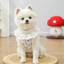 Sợi Cotton Xuân Hè Thú Cưng Ren Áo Thoáng Khí Mỏng Phong Cách Chó Mèo Quần Áo Thú Cưng Nhà Quần Áo Teddy Bichon