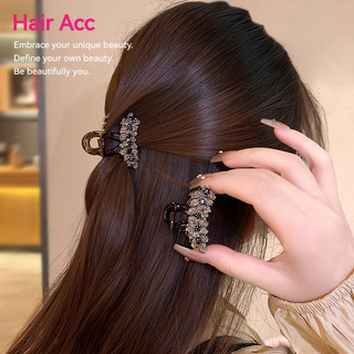 Phong Cách Mới Lúa Mì Tai Nhỏ Lấy Kẹp Influencer Bên Kẹp Kim Cương Trán Tóc Gãy Đầu Lưng Nữ Nửa Đầu Tóc Kẹp Tóc