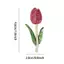 PNPIA- Trâm cài hoa Tulip dành cho nữ có kết thúc bằng men hoa thanh lịch cho áo sơ mi thời trang dự tiệc thông thường