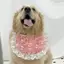 Thú Cưng Chó Yếm Tròn Túi 2026 Phong Cách Mới Chụp Hình Trang Trí Golden Retriever Labrador Nhỏ Vừa Lớn Chó Nước Bọt Khăn