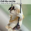 Khánh Treo Gương Thú Cưng Chó Đu Xích Đu Đáng Yêu Trang Trí Gương Chiếu Hậu Xe Ô Tô