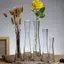 Luckyew Thủy Tinh Trong Suốt Bình Hoa Nhỏ Thủy Canh Cây Hoa Terrarium Phòng Sang Trọng Bàn Trang Trí Nhà Tiệc Cưới TQ