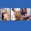 JCSYFAC Mạnh Mẽ Rebound Lò Xo Hỗ Trợ Đầu Gối Thiết Bị Chống Trơn Trượt Thoáng Khí Tăng Áp Đầu Gối Có Thể Điều Chỉnh Lò Xo Ổn Định Nẹp Hỗ Trợ Khớp Mới
