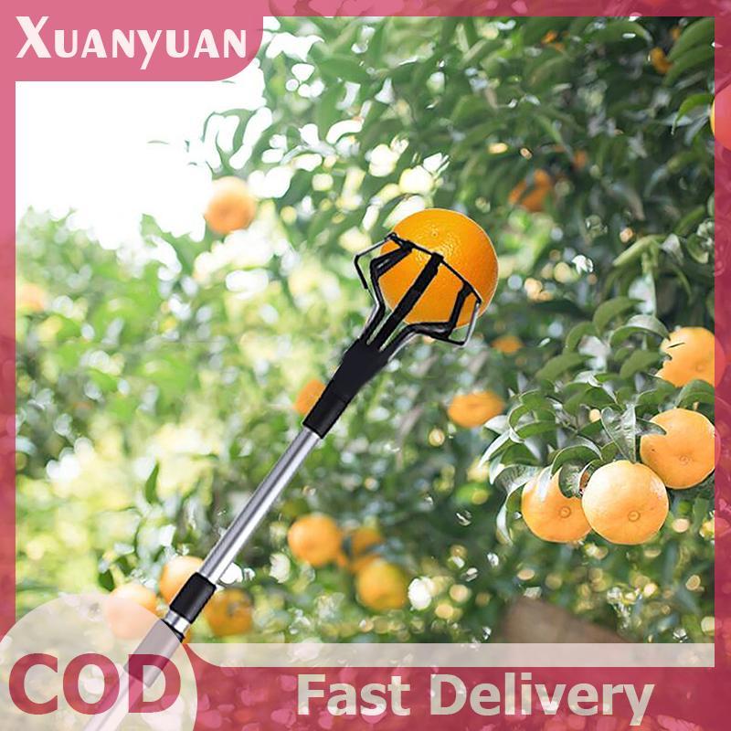 XUAN Bóng Đèn Cao Cấp Chọn Công Cụ Đổi Trần Tháo Rời Cực Đèn Trần Thay Đổi VN