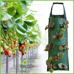 Túi Dâu Trồng Cây Treo 8 Lỗ Trồng Cà Chua Nồi Có Tay Cầm Cho Quả Việt Nam Rau gelhvn