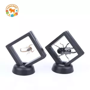 CANAMEK Mẫu Côn Trùng Thật 3D Khung Nổi Giá Đỡ Cho Bộ Sưu Tập Khoa Học Trường Hiển Thị Trang Trí Nhà Cửa CSF