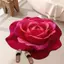 JCSYFAC Mới Thảm Hoa Mẫu Đơn Mềm Hình Đặc Biệt Thảm Trải Sàn Bền 40x40cm Chống Trơn Trượt Thấm Hút Sàn Phòng Tắm Thảm Mới