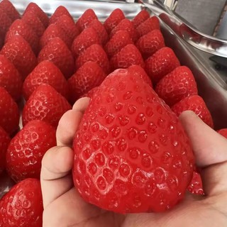 Dâu Bóp Đồ Chơi Giảm Căng Thẳng Và Thông Hơi Tức Giận Fidget Đồ Chơi Nhựa Bóp Đồ Chơi Để Giảm Căng Thẳng Cho Bạn Bè