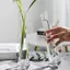 Luckyew Thủy Tinh Trong Suốt Bình Hoa Nhỏ Thủy Canh Cây Hoa Terrarium Phòng Sang Trọng Bàn Trang Trí Nhà Tiệc Cưới TQ