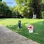 JCSYFAC "No Dog Poop" Dấu hiệu nhựa Không có lỗ chân lông Cảnh báo sân Vườn Cổ phần Cảnh báo chống nước ngoài trời cho chủ sở hữu thú cưng Ngăn ngừa ô nhiễm Mới