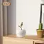 Táo Điêu Khắc Gốm Sưu Tập Tượng Phong Cách Để Bàn Trang Trí Trang Trí Cho Gia Đình Nghiên Cứu Nội Thất