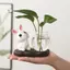 Maybest Thỏ Dễ Thương Bình Thủy Canh Bình Thủy Tinh Trong Suốt Để Bàn Trang Trí Bình Hoa Thủy Sinh Có Đế Gỗ {VN}