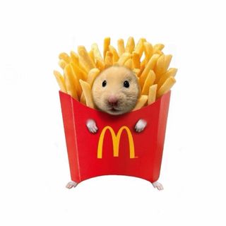 móc khoá hamster đáng yêu