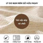 Tấm Lót Chống Trượt Ga Giường Sofa GADI, Cấu Trúc Lưới Hình Học Cố Định Chắc Chắn Kháng Khuẩn