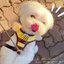 Dây đi bộ cho chó Lưới thoáng khí Teddy Pomeranian