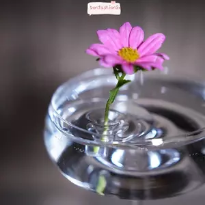 Giá đỡ sắp xếp hoa nổi ITRUMPET, Giá đỡ trưng bày hoa nổi DIY, Hộp đựng hoa thủy canh Dụng cụ sắp xếp hoa nổi Bát hoa nổi