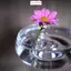 Giá đỡ sắp xếp hoa nổi ITRUMPET, Giá đỡ trưng bày hoa nổi DIY, Hộp đựng hoa thủy canh Dụng cụ sắp xếp hoa nổi Bát hoa nổi
