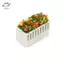 HFTOY Giường hoa Cây cảnh thu nhỏ Trang trí sân vườn cổ tích Phụ kiện nhà búp bê ~