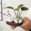 Maybest Thỏ Dễ Thương Bình Thủy Canh Bình Thủy Tinh Trong Suốt Để Bàn Trang Trí Bình Hoa Thủy Sinh Có Đế Gỗ {VN}