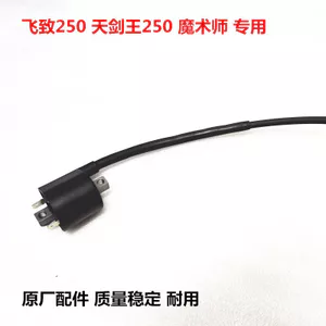 Thích hợp cho Yamaha Sword King Feizhi 250 Magician 250 Mainland TTR TTW250 Đánh lửa gói áp suất cao